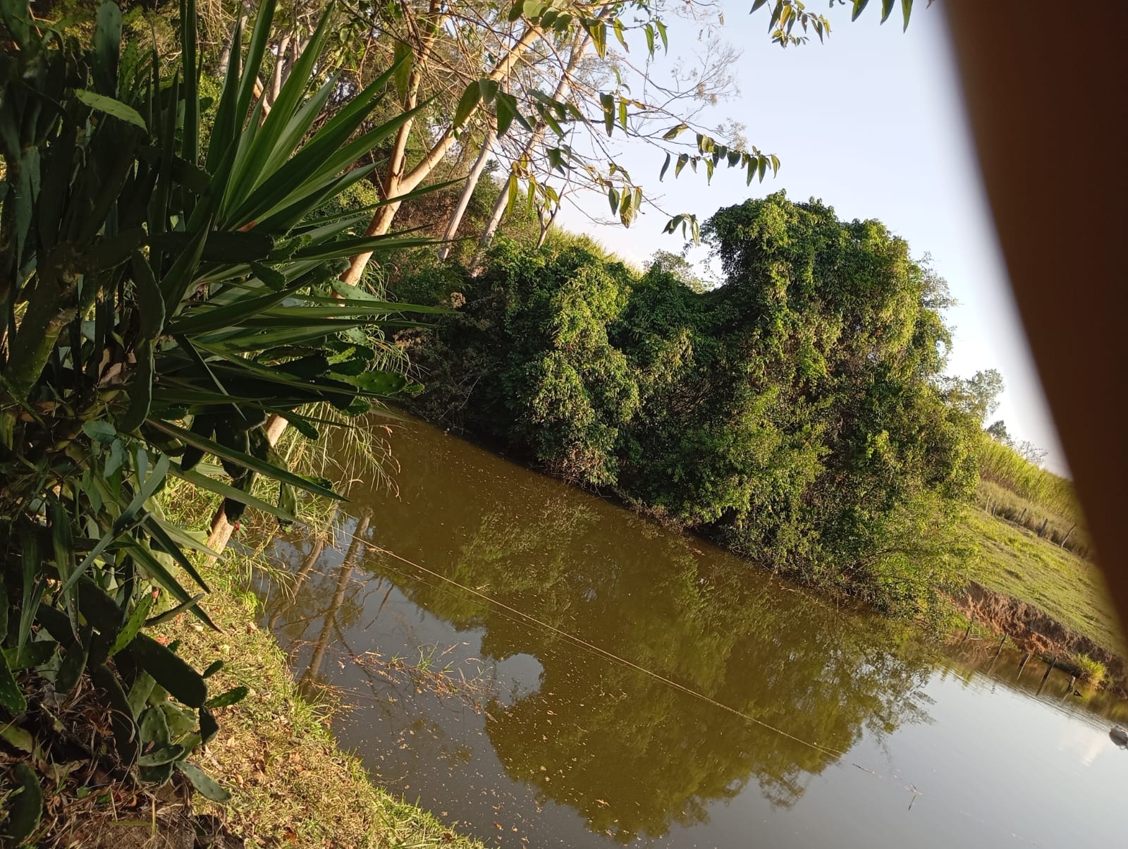 Vista do Lago