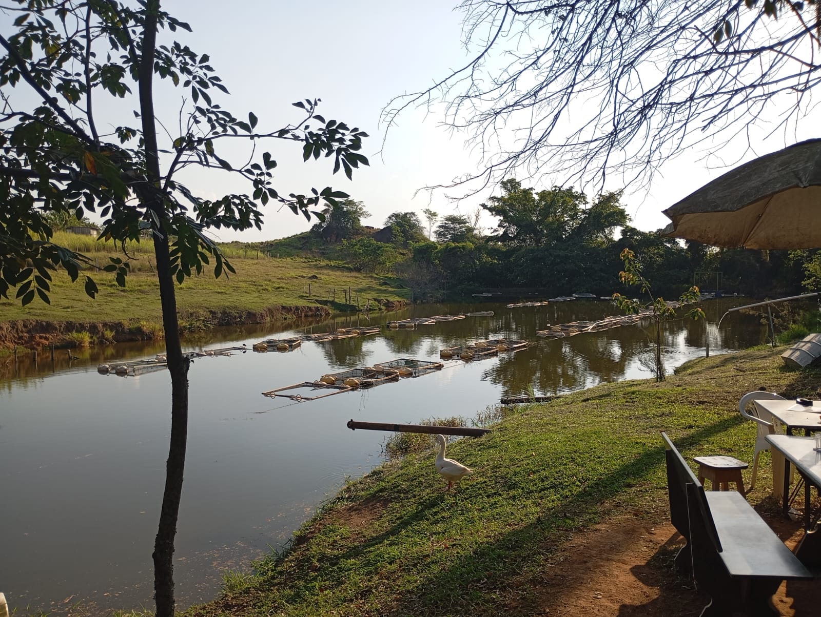 Vista do lago