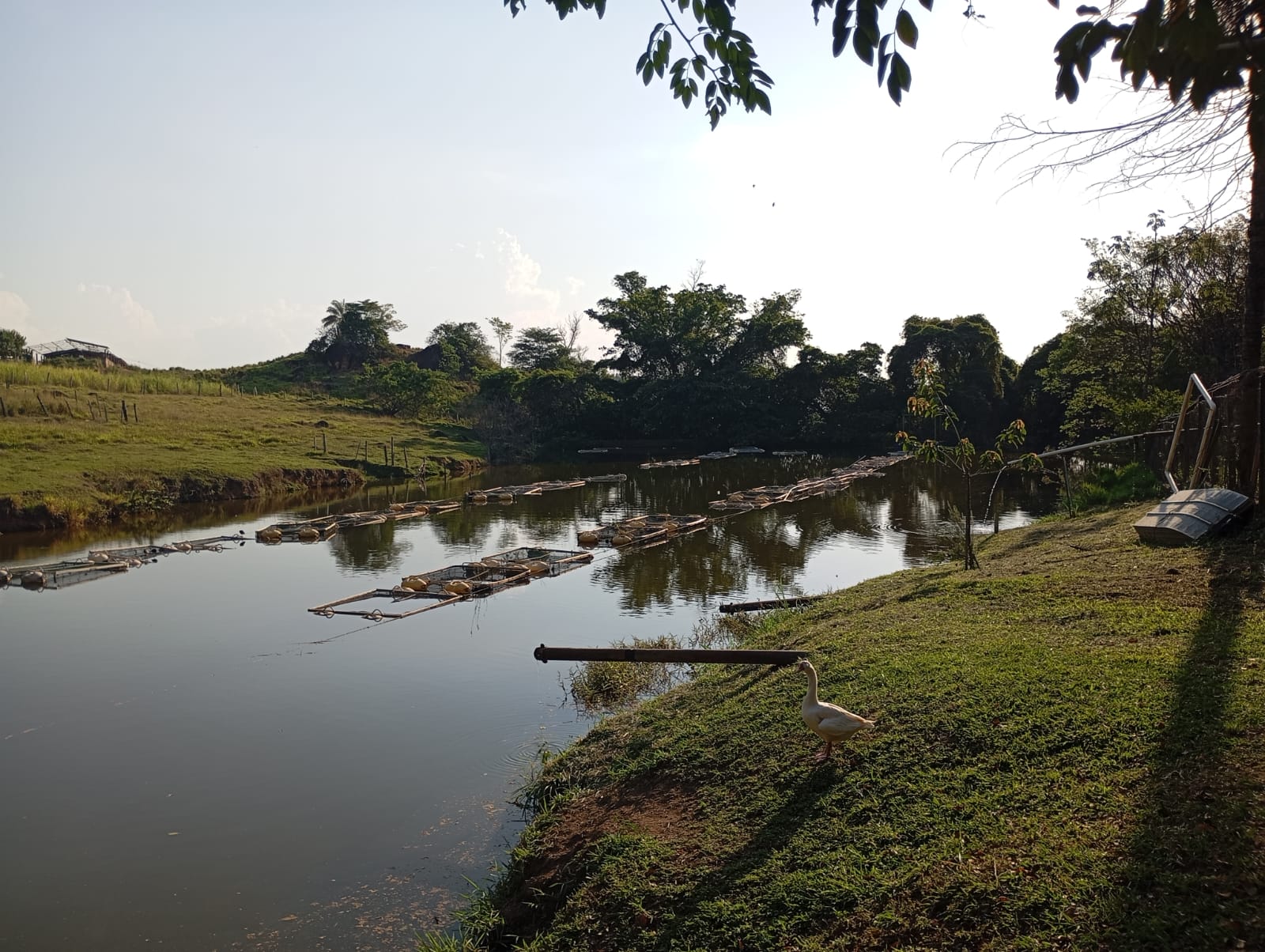 Vista do Lago